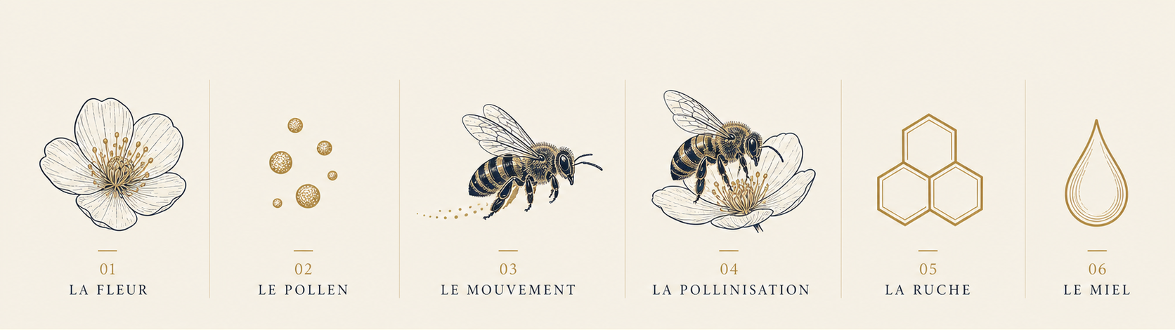 Les mouvements guidés du Carnet des Possibles